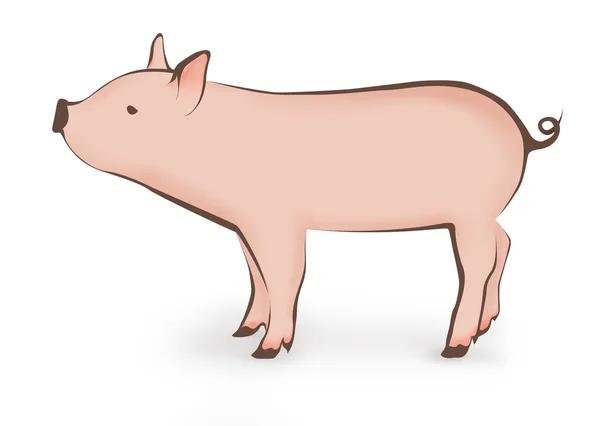 Young pig illustration — Stock Photo, Image