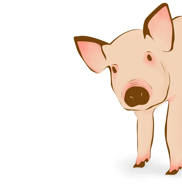 Young pig illustration — Stock Photo, Image