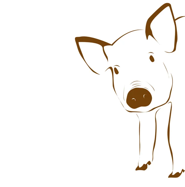 Ilustración de cerdo joven — Foto de Stock