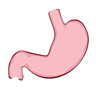 Tıp ve ilgili her şeyi