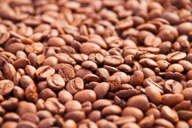 Kavrulmuş kahve çekirdeği.