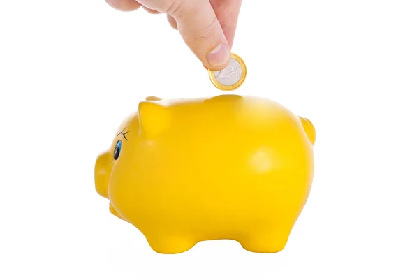 Piggy Bank op een wit — Stockfoto