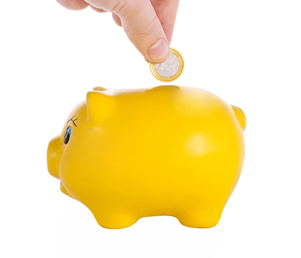 Piggy Bank en un blanco — Foto de Stock