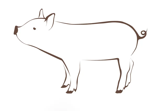Illustrazione giovane maiale — Foto Stock