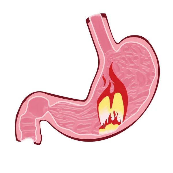 Medizin und alles, was damit zusammenhängt — Stockfoto