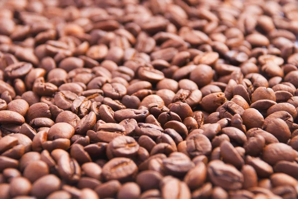 A lot of oasted coffee beans — Stock Photo, Image