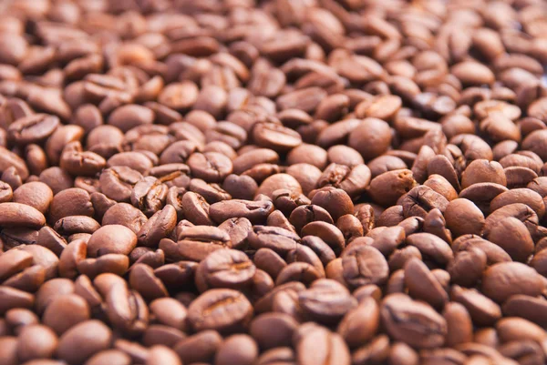 Wiele oasted ziaren kawy — Zdjęcie stockowe