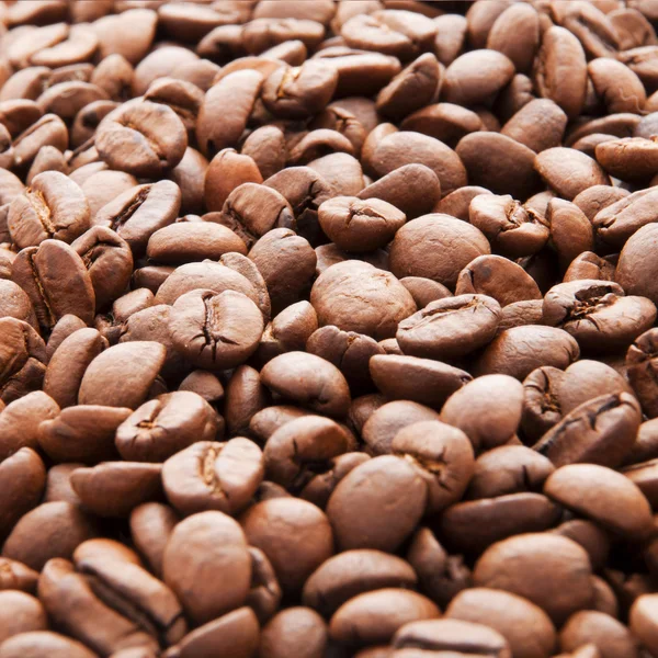 Viele geröstete Kaffeebohnen — Stockfoto