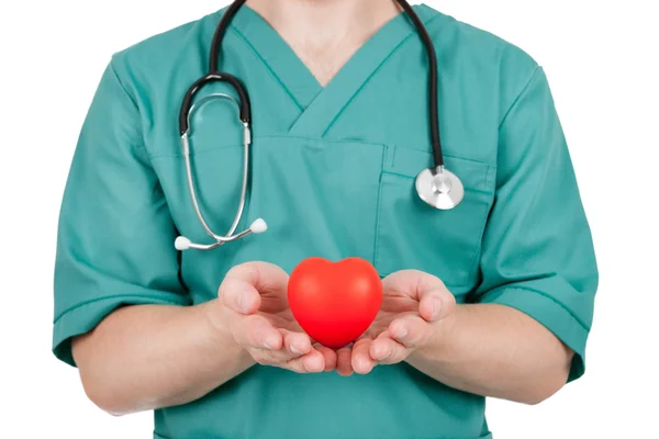 Doctor with red heart in hands — Stock Photo, Image