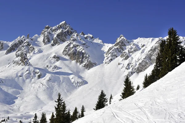 Montaña alpina y árboles — Foto de Stock