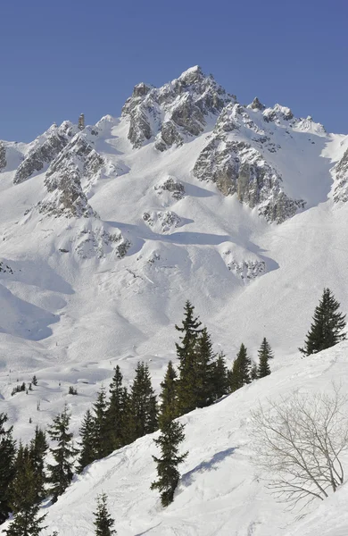 Mountain and trees — Stock Photo, Image