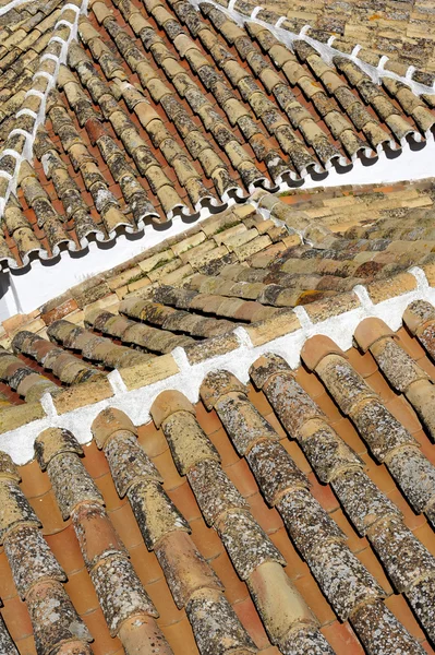 Pantiled střechy — Stock fotografie