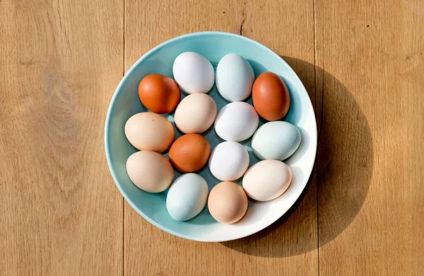 Tazón Huevos Pollo Diferentes Colores Visto Desde Arriba —  Fotos de Stock
