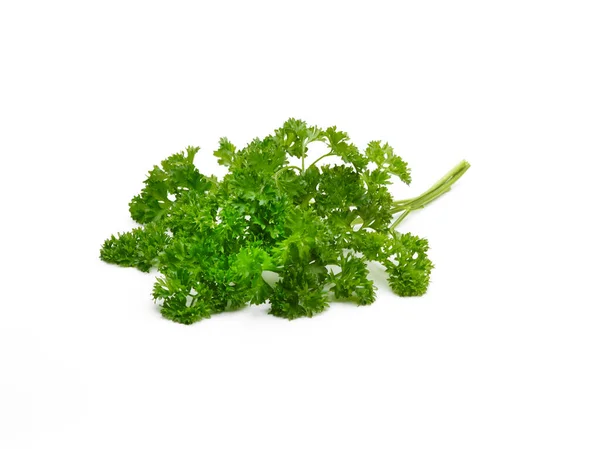 Pile Curley Leaf Parsley Leaves White Background — Stock Photo, Image