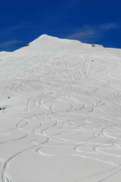 Несколько Лыжных Трасс Новом Порошковом Снегу Склоне Горы — стоковое фото