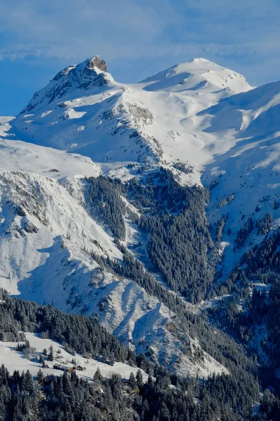 Una Vista Lejanas Montañas Alpinas Cubiertas Nieve Árboles —  Fotos de Stock