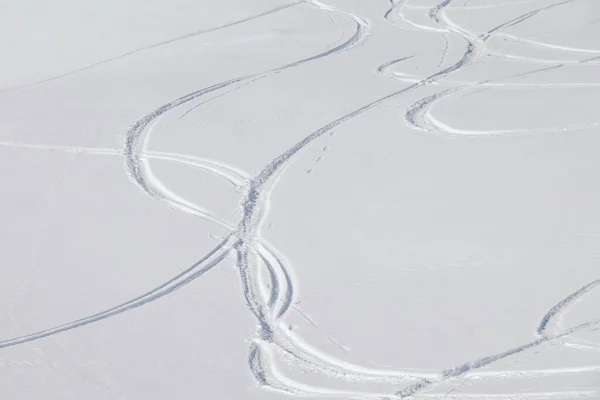 Meerdere Ski Tracks Nieuwe Poeder Sneeuw Stockafbeelding