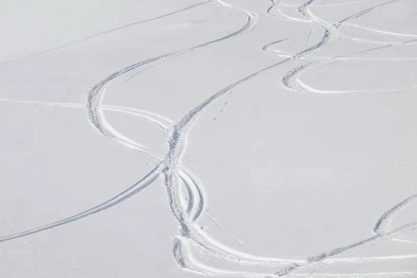 Mehrere Loipen Neuen Pulverschnee Stockbild