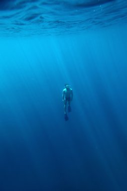 Freediver