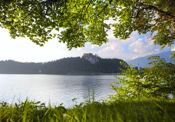 Bled — Stockfoto