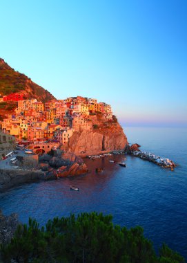 Manarola