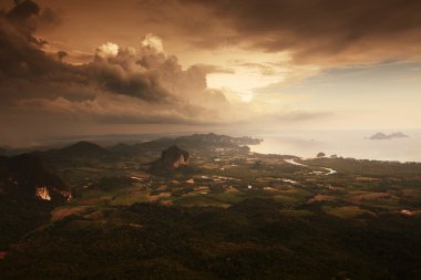 vadi