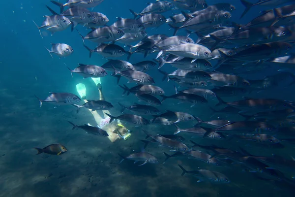 Bajo el agua — Foto de Stock