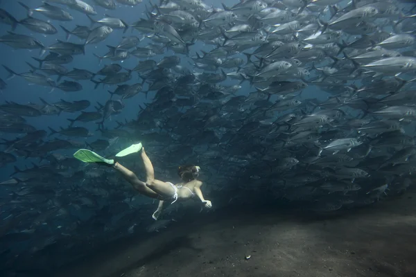 Bajo el agua — Foto de Stock