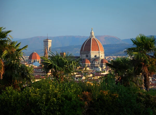 Florence — Stock Photo, Image