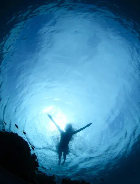 Snorkeling — Stock Photo, Image