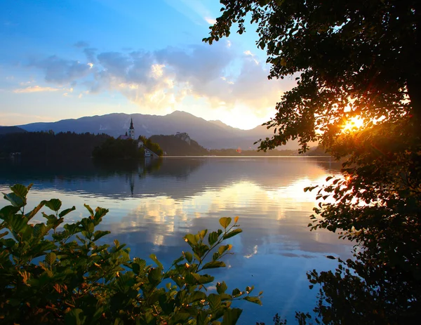 Bled — Stok fotoğraf