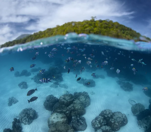 Meer. — Stockfoto