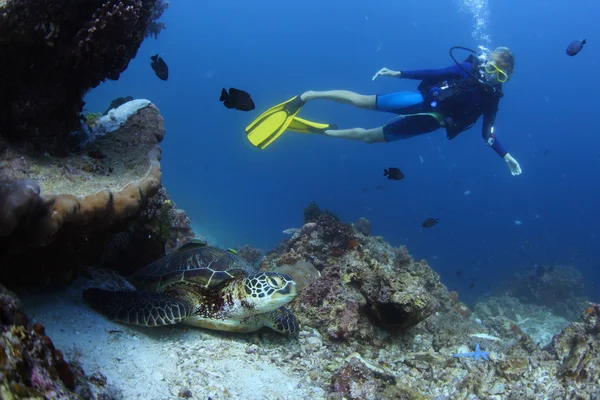 Diver — Stock Photo, Image