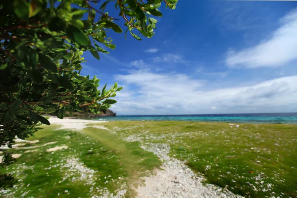 Apo Reef Natural Park — Stock Photo, Image