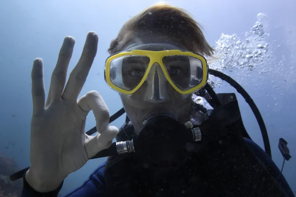 Diver — Stock Photo, Image