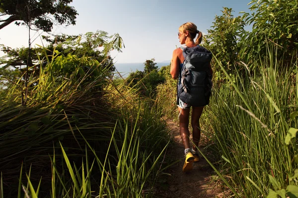 Hiker — Stock Photo, Image