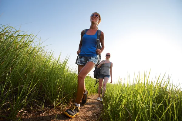 Hikers — Stock Photo, Image