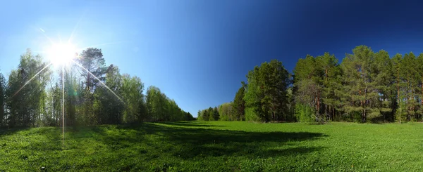 Äng — Stockfoto