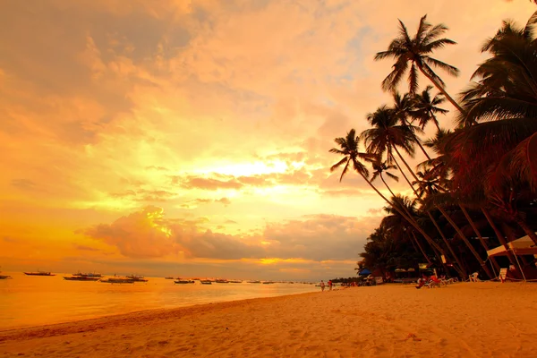 Beach — Stock Photo, Image