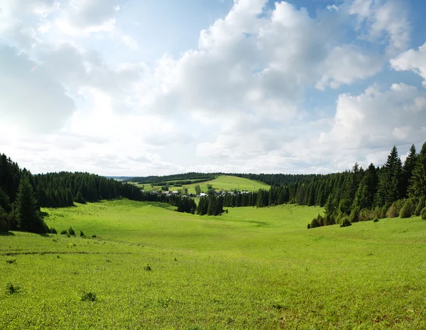 Grasland — Stockfoto