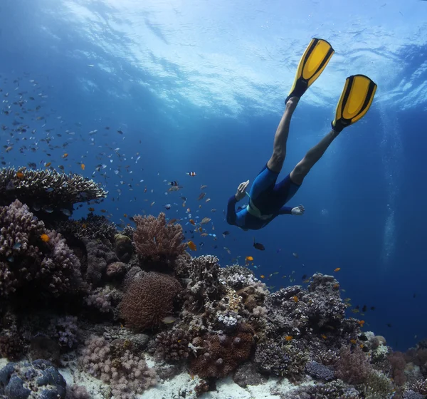 Freediver — Zdjęcie stockowe