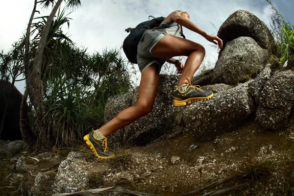 Hiker — Stock Photo, Image