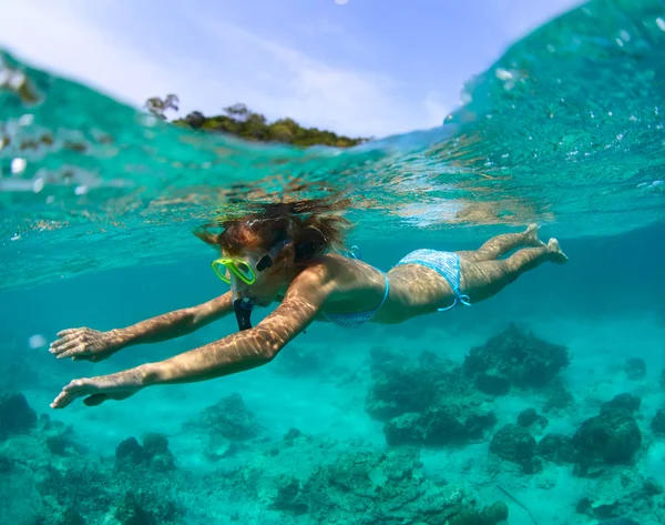 年轻的女士，在明确热带海浮潜 — 图库照片