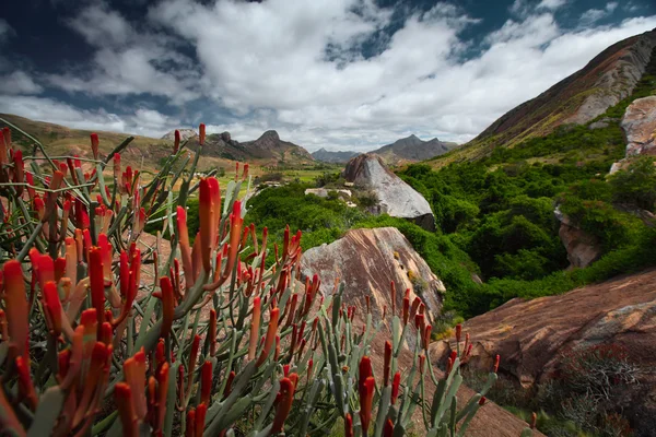 Madagaskar — Stockfoto