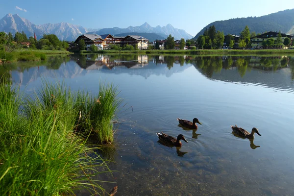 Seefeld — Foto Stock