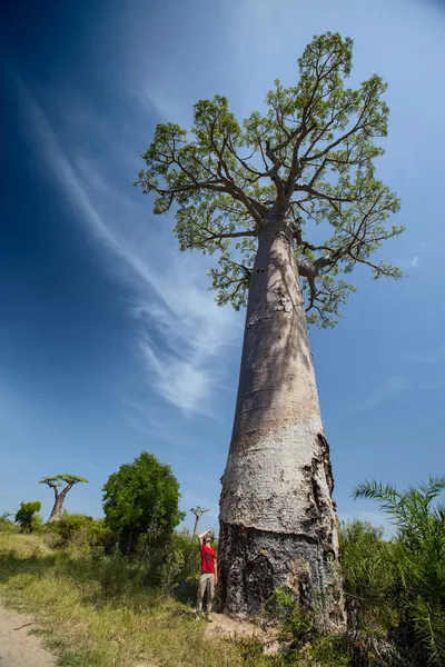 Madagaskar — Stok fotoğraf