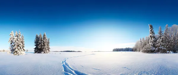 Invierno — Foto de Stock