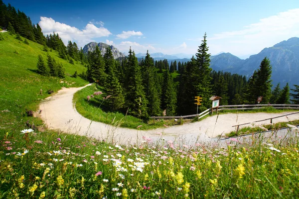 Grüne Wiese und Straße in den Alpen an einem sonnigen Tag. — Stockfoto