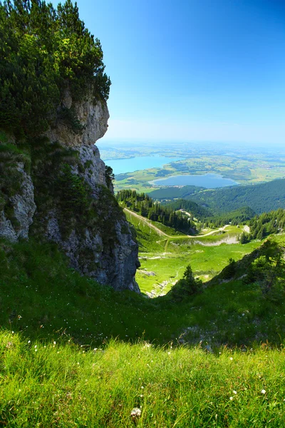 Green meadow and walkway in Alps in a sunny day. — Stock Photo, Image