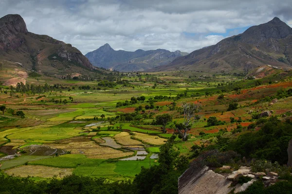 Madagascar — Foto de Stock